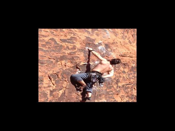 특례보장 보장 절차