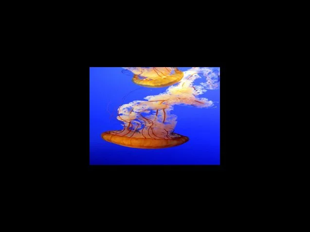 근로장려금 소득기준