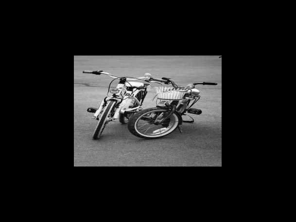 신세계 상품권 사용처