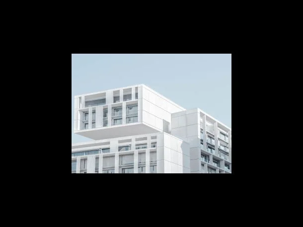 카카오닙스 효능 1 세포 상태 개선