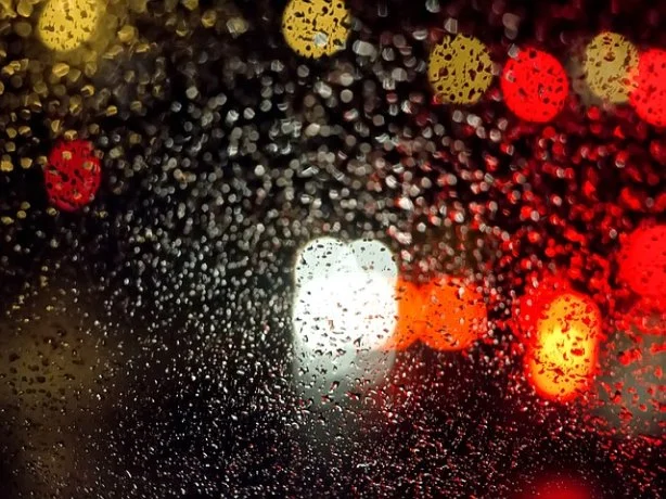 동부화재 자동차 보험금청구 방법