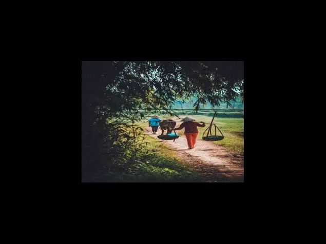 후리스, 가볍고 따뜻해서 추천해요