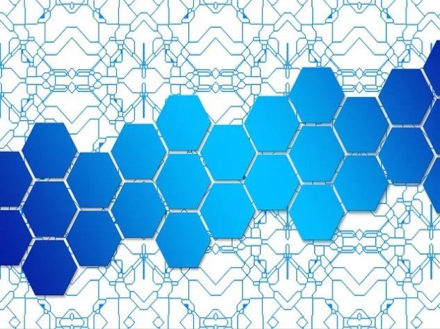 발톱 무좀 약 사용하기