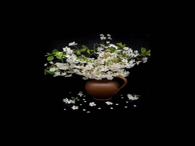 연말정산 간소화 서비스