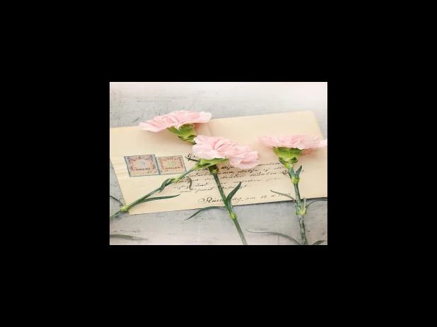 피자알볼로 고객센터 자주 묻는 질문FAQ