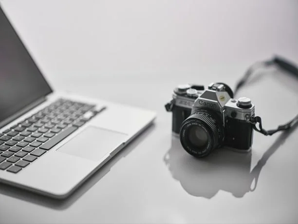 도라지청의 가격