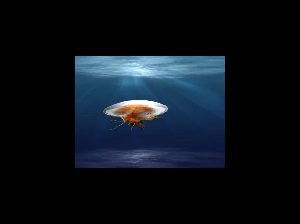 신용카드 소득공제 한도 계산방법 및 대상 활용 팁과 권장 방법