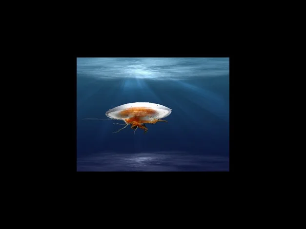 온라인몰에서는 회원권이 필요한가요?