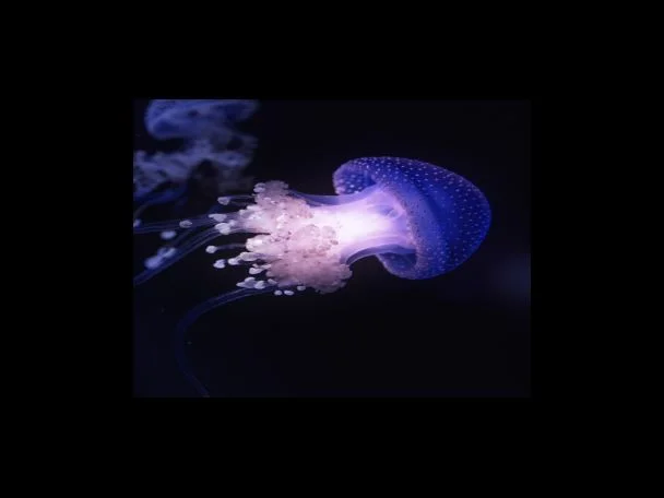 내 돈과 연관 짓기