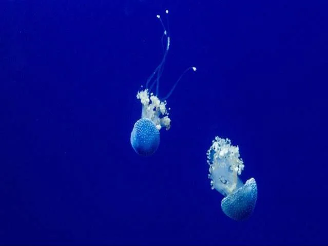 2 시험 난이도