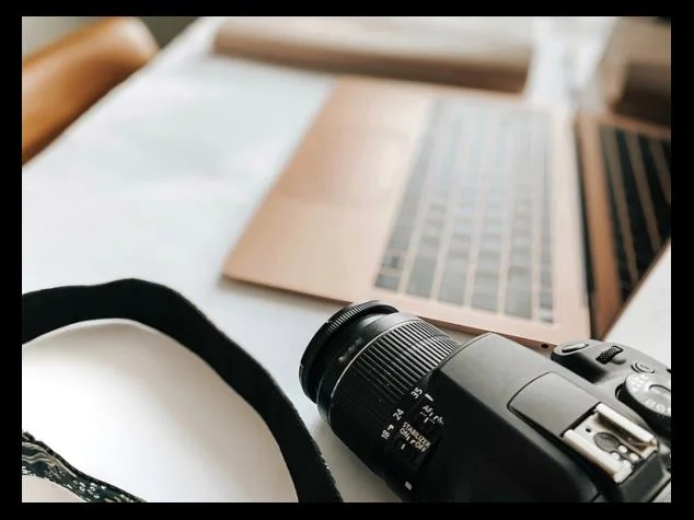 분갈이 및 거름