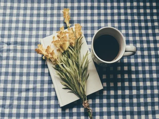 롯데쇼핑 차트분석