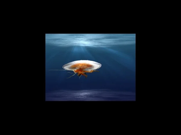 취득시기, 연령에 따라 다르다