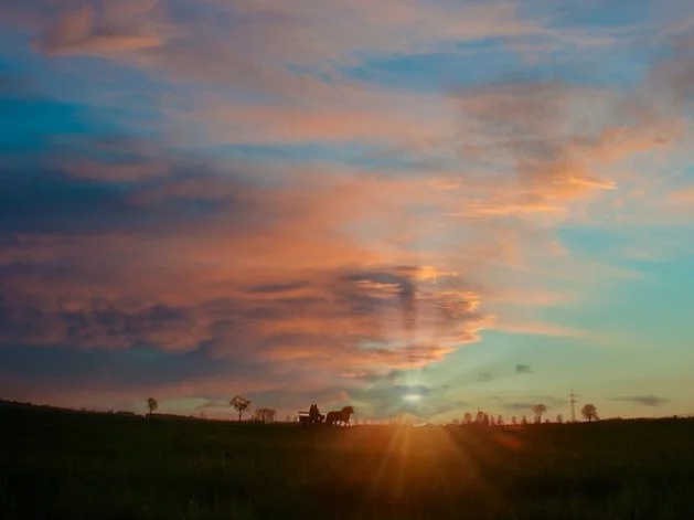 10. 공복혈당 낮추는 방법