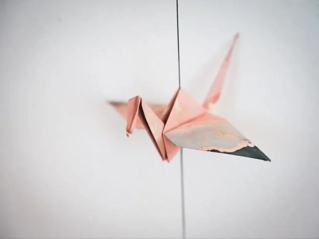 생 들기름