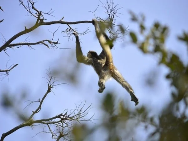 어지럼증에 좋은 영양제