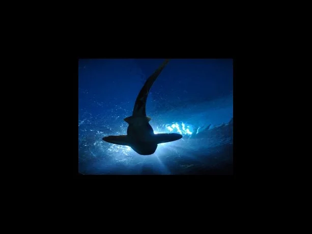 특고 프리랜서 6차 재난지원금 오프라인 신청