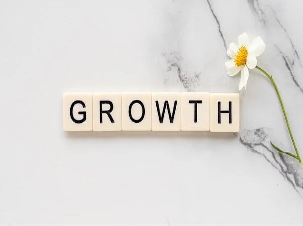 보조 요소 및 자가 관리