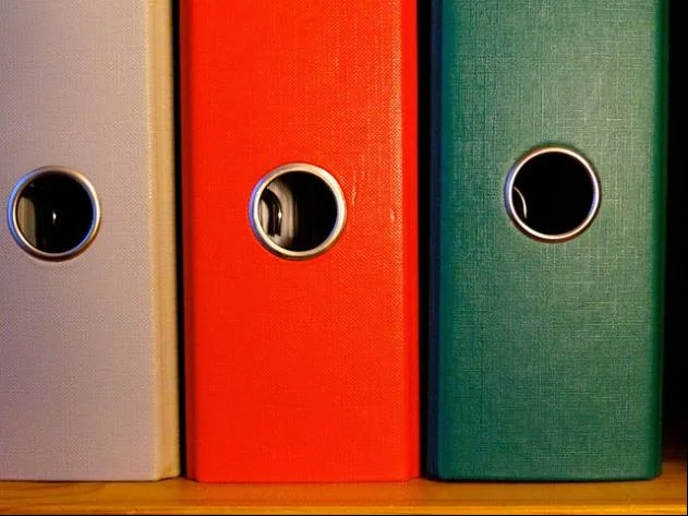 외국 선거의 예