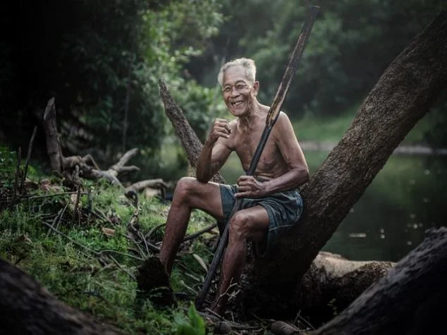 안정되는 100 토지확보