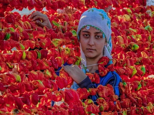 1 코코넛워터 부작용