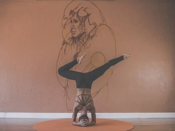 강원도 토지 매매 매물 찾는 사이트