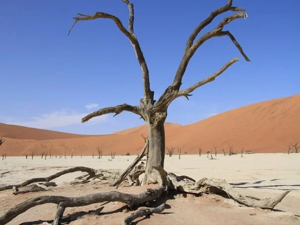 연차유급휴가 사용촉진의 방법