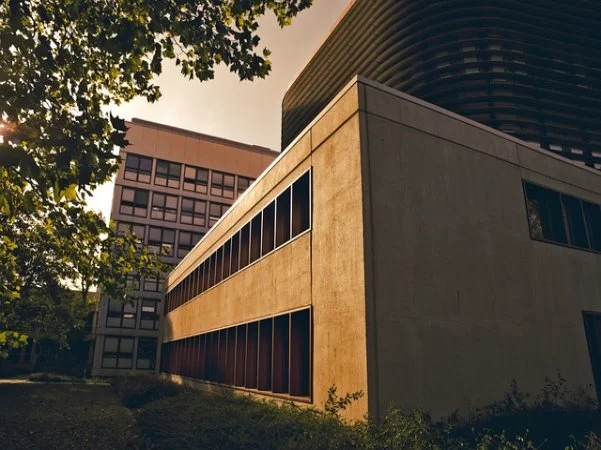 TV 가전 네이버페이 포인트 쿠폰