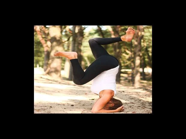 미스테리어스한 꽃송이버섯, 그 효과와 부작용을 알기