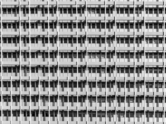 1 원 플러스 원 1