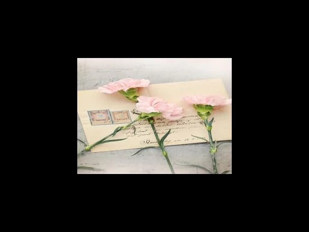 비오효소 먹는법